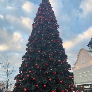 Meet your Posher, Hakyoung